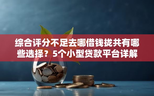 综合评分不足去哪借钱拢共有哪些选择？5个小型贷款平台详解
