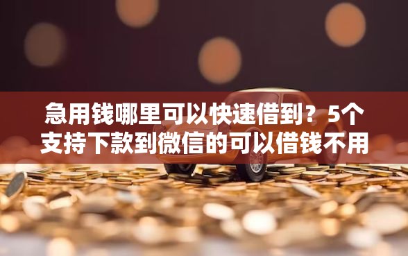 急用钱哪里可以快速借到？5个支持下款到微信的可以借钱不用审核的软件