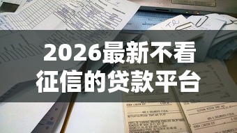 2026最新不看征信的贷款平台，总结十个贷款平台靠谱容易通过！