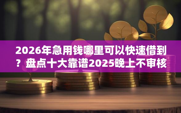 2026年急用钱哪里可以快速借到？盘点十大靠谱2025晚上不审核直接放款口子