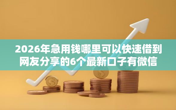 2026年急用钱哪里可以快速借到网友分享的6个最新口子有微信就能下我觉得不错！