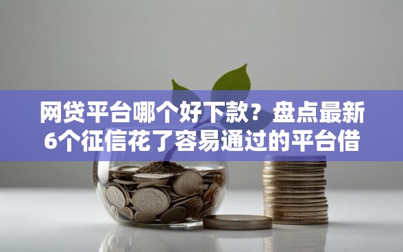 网贷平台哪个好下款？盘点最新6个征信花了容易通过的平台借款