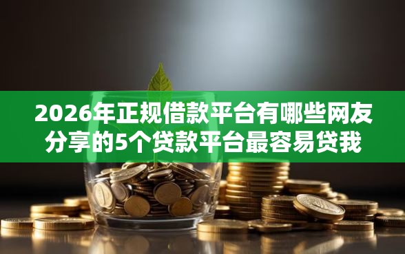 2026年正规借款平台有哪些网友分享的5个贷款平台最容易贷我觉得不错！