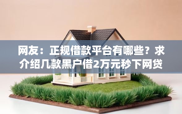 网友：正规借款平台有哪些？求介绍几款黑户借2万元秒下网贷口子app