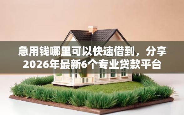 急用钱哪里可以快速借到，分享2026年最新6个专业贷款平台