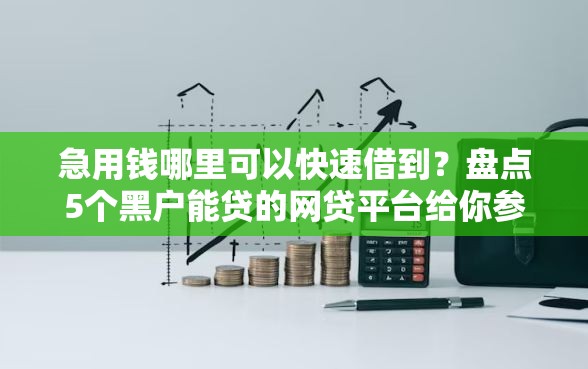 急用钱哪里可以快速借到？盘点5个黑户能贷的网贷平台给你参考