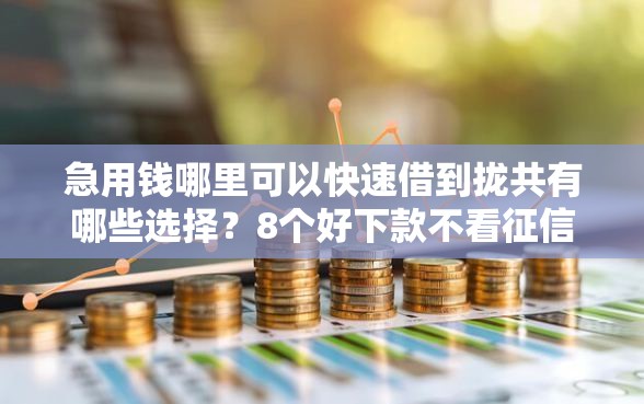 急用钱哪里可以快速借到拢共有哪些选择?8个好下款不看征信贷款平台详解 急用钱哪里可以快速借到拢共有哪些选择?8个好下款不看征信贷款平台详解