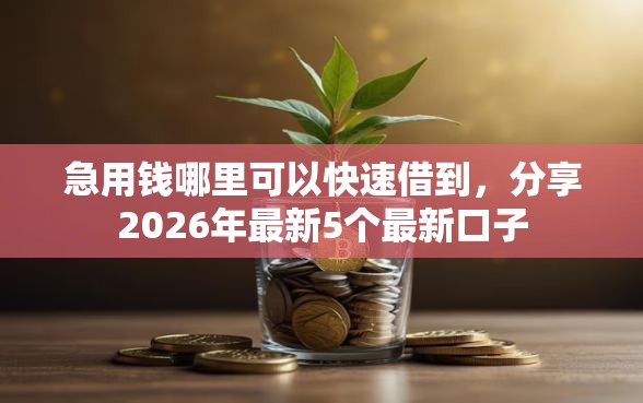 急用钱哪里可以快速借到，分享2026年最新5个最新口子