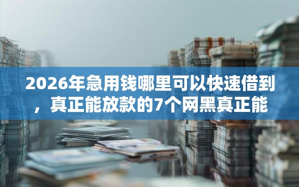 2026年急用钱哪里可以快速借到，真正能放款的7个网黑真正能下款的软件推荐