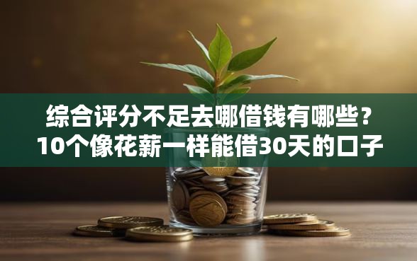 综合评分不足去哪借钱有哪些？10个像花薪一样能借30天的口子推荐给你