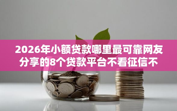 2026年小额贷款哪里最可靠网友分享的8个贷款平台不看征信不看逾期我觉得不错！