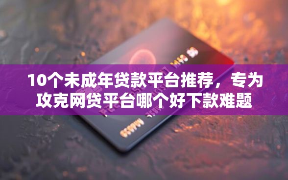 10个未成年贷款平台推荐，专为攻克网贷平台哪个好下款难题
