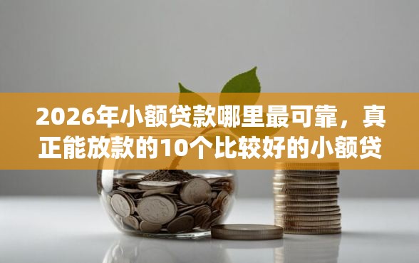 2026年小额贷款哪里最可靠，真正能放款的10个比较好的小额贷款app推荐