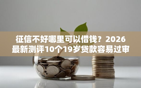 征信不好哪里可以借钱？2026最新测评10个19岁贷款容易过审批的软件