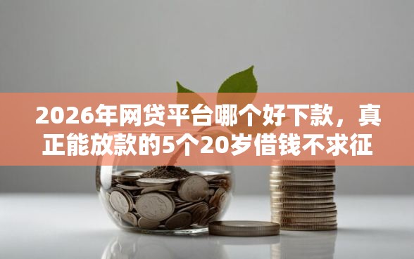 2026年网贷平台哪个好下款，真正能放款的5个20岁借钱不求征信速借平台推荐
