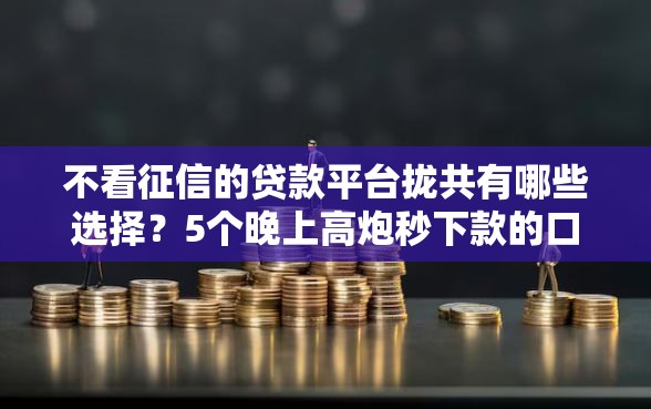 不看征信的贷款平台拢共有哪些选择？5个晚上高炮秒下款的口子详解
