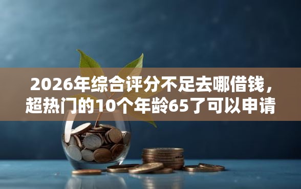 2026年综合评分不足去哪借钱,超热门的10个年龄65了可以申请的网贷平台推荐 2026年综合评分不足去哪借钱,超热门的10个年龄65了可以申请的网贷平台推荐