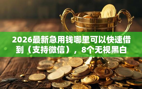 2026最新急用钱哪里可以快速借到（支持微信），8个无视黑白户下款的口子无私分享