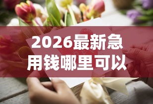 2026最新急用钱哪里可以快速借到（支持支付宝），5个花了可以贷款的平台无私分享