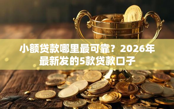 小额贷款哪里最可靠？2026年最新发的5款贷款口子