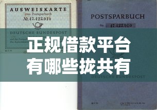 正规借款平台有哪些拢共有哪些选择？9个2025高炮必过口子秒下款详解