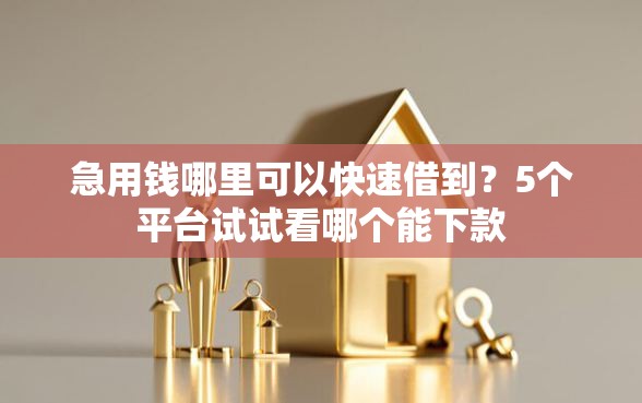 急用钱哪里可以快速借到？5个平台试试看哪个能下款