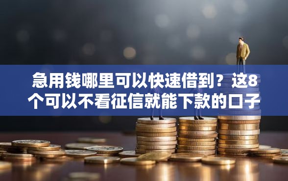 急用钱哪里可以快速借到？这8个可以不看征信就能下款的口子值得一试
