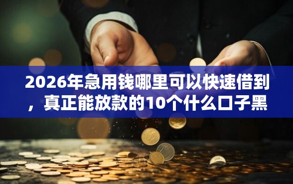 2026年急用钱哪里可以快速借到,真正能放款的10个什么口子黑户可以下款推荐 2026年急用钱哪里可以快速借到,真正能放款的10个什么口子黑户可以下款推荐