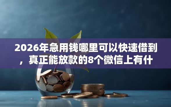 2026年急用钱哪里可以快速借到，真正能放款的8个微信上有什么贷款平台推荐