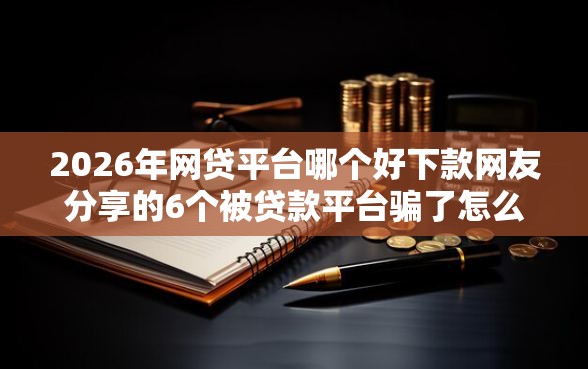2026年网贷平台哪个好下款网友分享的6个被贷款平台骗了怎么办我觉得不错！