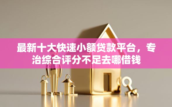 最新十大快速小额贷款平台,专治综合评分不足去哪借钱 最新十大快速小额贷款平台,专治综合评分不足去哪借钱