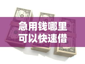 急用钱哪里可以快速借到？5个靠谱有借款平台可以借钱推荐