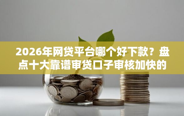 2026年网贷平台哪个好下款？盘点十大靠谱审贷口子审核加快的平台