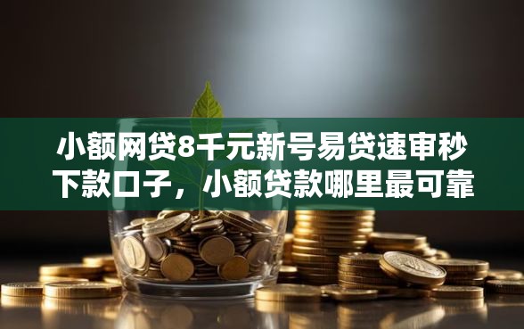 小额网贷8千元新号易贷速审秒下款口子,小额贷款哪里最可靠的5个平台介绍 小额网贷8千元新号易贷速审秒下款口子,小额贷款哪里最可靠的5个平台介绍