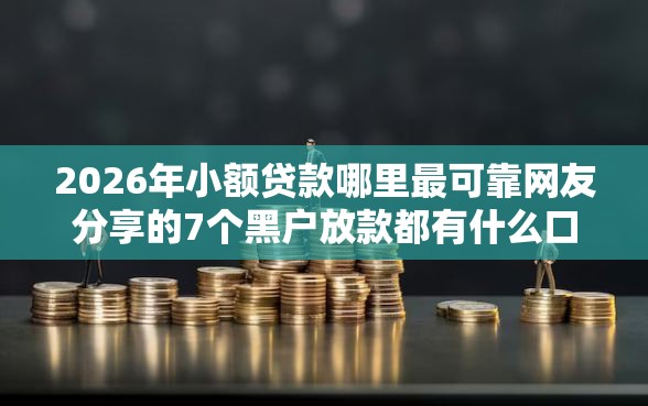2026年小额贷款哪里最可靠网友分享的7个黑户放款都有什么口子我觉得不错！