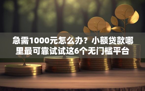 急需1000元怎么办?小额贷款哪里最可靠试试这6个无门槛平台 急需1000元怎么办?小额贷款哪里最可靠试试这6个无门槛平台