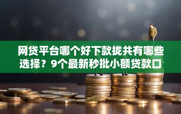 网贷平台哪个好下款拢共有哪些选择?9个最新秒批小额贷款口子详解 网贷平台哪个好下款拢共有哪些选择?9个最新秒批小额贷款口子详解