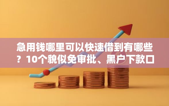 急用钱哪里可以快速借到有哪些？10个貌似免审批、黑户下款口子合集