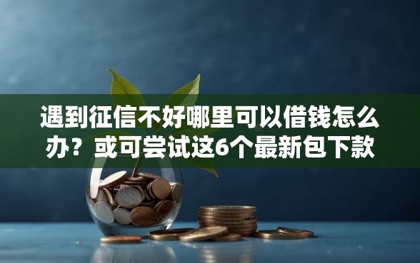 遇到征信不好哪里可以借钱怎么办？或可尝试这6个最新包下款口子