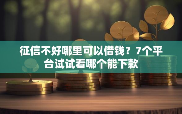 征信不好哪里可以借钱？7个平台试试看哪个能下款