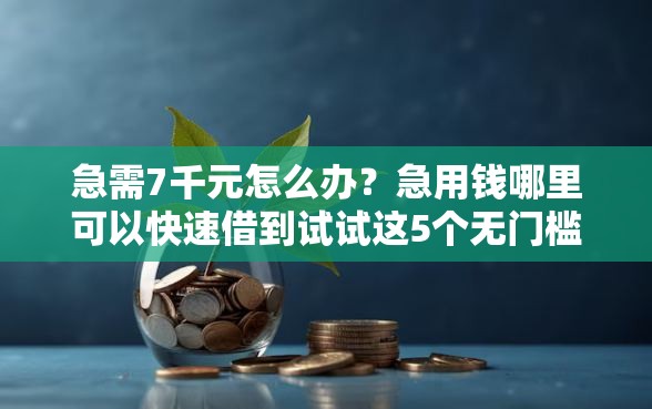 急需7千元怎么办?急用钱哪里可以快速借到试试这5个无门槛平台 急需7千元怎么办?急用钱哪里可以快速借到试试这5个无门槛平台