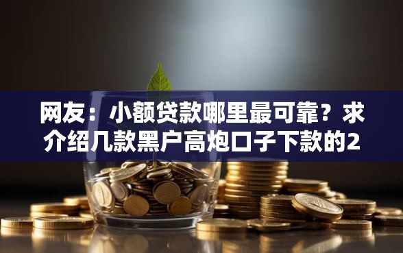 网友：小额贷款哪里最可靠？求介绍几款黑户高炮口子下款的2025