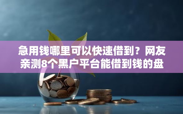 急用钱哪里可以快速借到？网友亲测8个黑户平台能借到钱的盘点