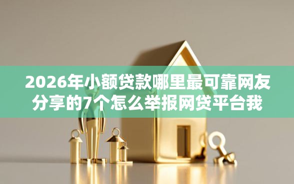 2026年小额贷款哪里最可靠网友分享的7个怎么举报网贷平台我觉得不错！