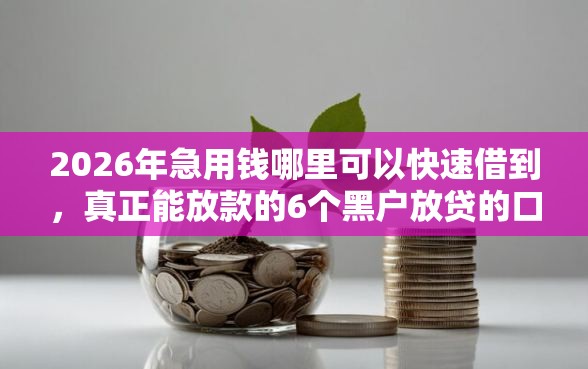 2026年急用钱哪里可以快速借到，真正能放款的6个黑户放贷的口子推荐