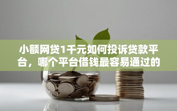 小额网贷1千元如何投诉贷款平台，哪个平台借钱最容易通过的8个平台介绍