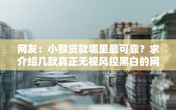 网友：小额贷款哪里最可靠？求介绍几款真正无视风控黑白的网贷