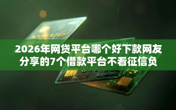 2026年网贷平台哪个好下款网友分享的7个借款平台不看征信负债我觉得不错！
