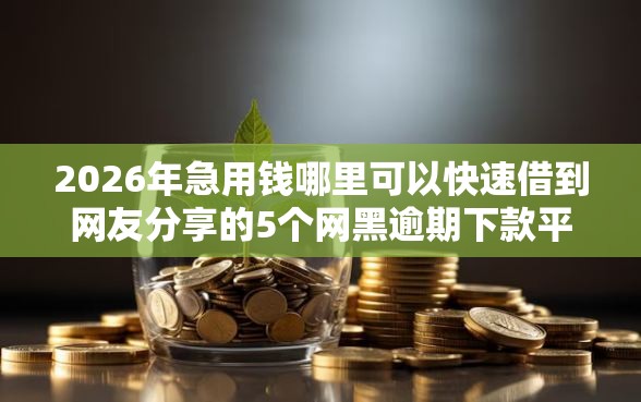 2026年急用钱哪里可以快速借到网友分享的5个网黑逾期下款平台我觉得不错! 2026年急用钱哪里可以快速借到网友分享的5个网黑逾期下款平台我觉得不错!