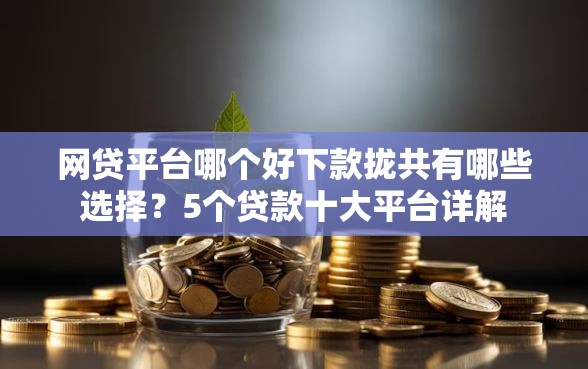 网贷平台哪个好下款拢共有哪些选择？5个贷款十大平台详解